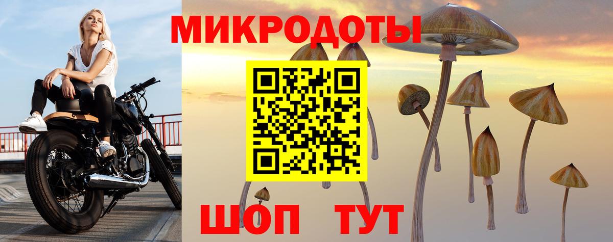 Белгород  Галлюциногенные грибы прущие грибы  купить наркотик  Вход с VPN 